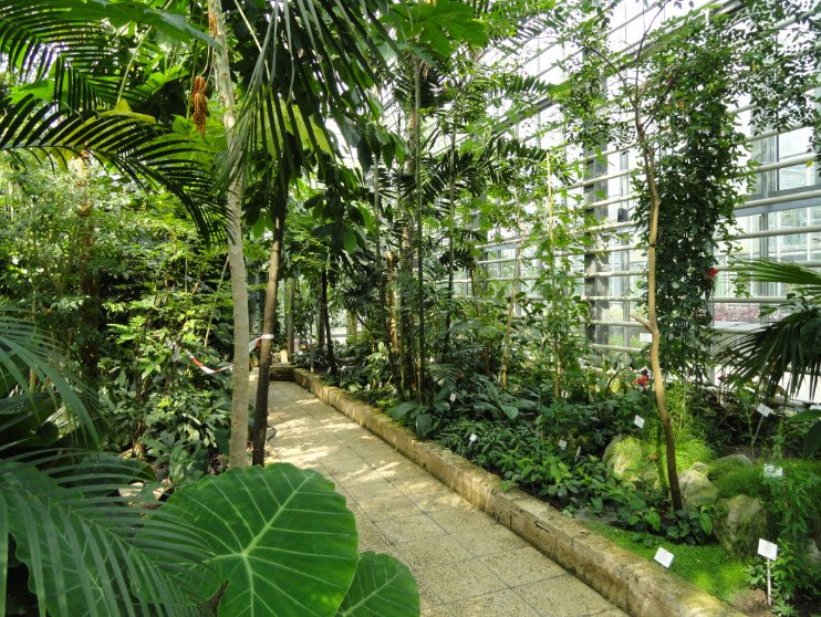 Botanical Garden, Germany